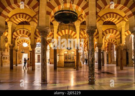 Maurische Säulen und Bögen im Innenraum der Mezquita - Catedral de Córdoba in Cordoba, Andalusien, Spanien  |  Moorish arches and columns of the Mezqu Stock Photo