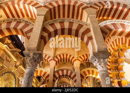 Maurische Säulen und Bögen im Innenraum der Mezquita - Catedral de Córdoba in Cordoba, Andalusien, Spanien  |  Moorish arches and columns of the Mezqu Stock Photo