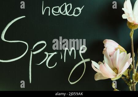 "hello spring" written with white chalk on chalkboard, on the right magnolia flowers Stock Photo