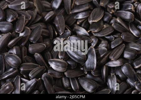 Black sunflower seeds. To create backgrounds, textures, presentations and backgrounds. Stock Photo