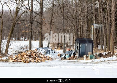 Outdoor forced air wood burning stove, burning wood, Winter, E USA, by James D Coppinger/Dembinsky Photo Assoc Stock Photo