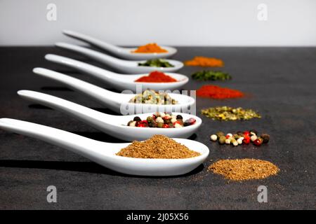 Fragrant herbs, spices of various varieties, in white ceramic spoons, on a gray table. Stock Photo