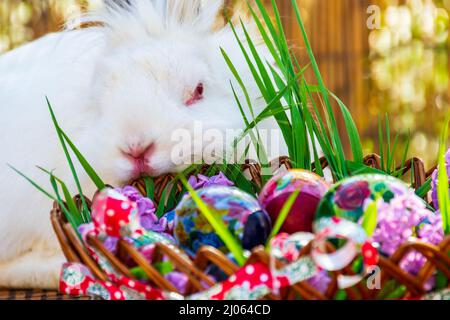 White rabbit and wooden basket with Easter eggs Stock Photo