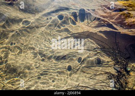 Patterns and textures in Jackson Creek near Toleak Point on the Washington Olympic National Park coast. Stock Photo