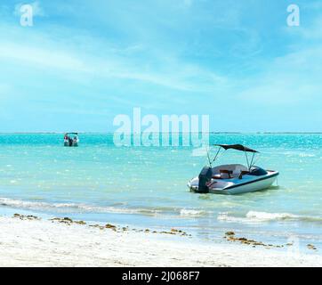 Tourist boat on the Sea of ??Maragogi beach - Coast of Alagoas Stock ...