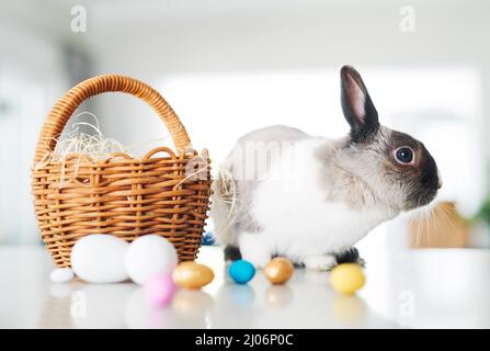No bunny loves you like I do. Shot of a cute rabbit sitting next to a basket with eggs at home. Stock Photo