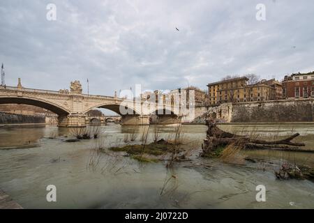 Broken plants in the Tiber river in Rome Stock Photo