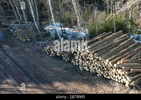 Pile of wooden logs on forest background next to road Stock Photo