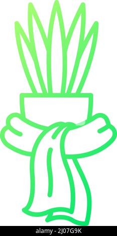 Keep houseplant warm in winter gradient linear vector icon Stock Vector