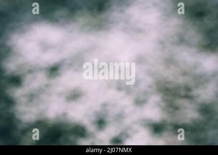 Abstract dreamy bokeh view of a meadow in green and white. Stock Photo