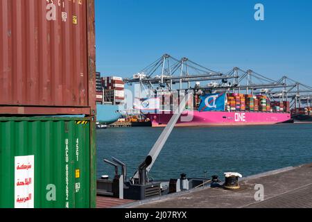 The seaport of Rotterdam, Maasvlakte, Hutchinson ECT Delta Terminal, Container Terminal, in the Amazonehaven Container freighters of the shipping comp Stock Photo