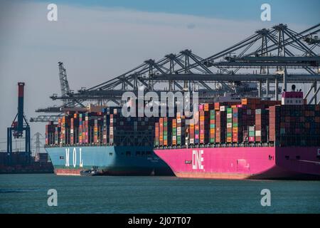 The seaport of Rotterdam, Maasvlakte, Hutchinson ECT Delta Terminal, Container Terminal, in the Amazonehaven Container freighters of the shipping comp Stock Photo