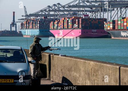 The seaport of Rotterdam, Maasvlakte, Hutchinson ECT Delta Terminal, Container Terminal, in the Amazonehaven Container freighters of the shipping comp Stock Photo