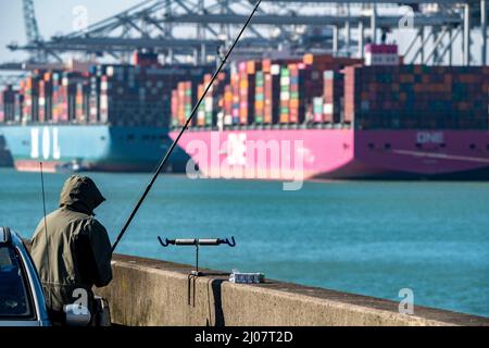 The seaport of Rotterdam, Maasvlakte, Hutchinson ECT Delta Terminal, Container Terminal, in the Amazonehaven Container freighters of the shipping comp Stock Photo