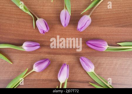 Top view of some purple poppies laid in a circle on a wooden table Stock Photo
