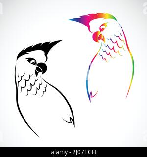 Vector of parrot on white background. Easy editable layered vector illustration. Stock Vector