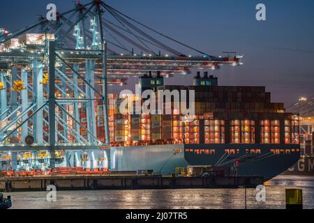 APM Terminal with Maersk container vessel unloading in the Prinses