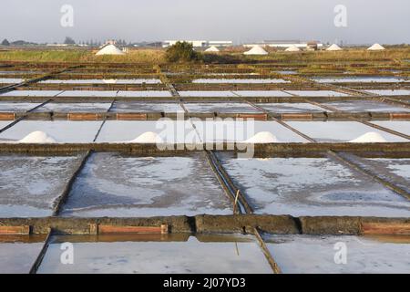 Salinas de Aveiro (salt pans) sea salt production in Aveiro Portugal. Stock Photo