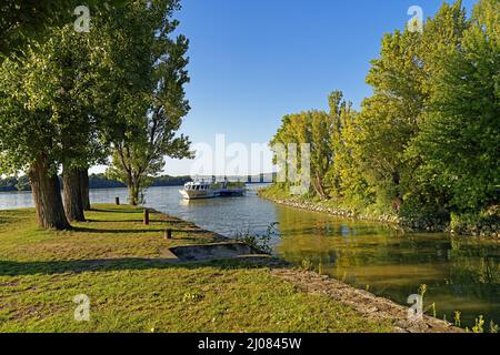 Fluß, Kis Duna, Donauarm, Duna, Donau, Linienschiff Stock Photo