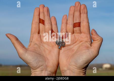 Two female hands hold a tree of life pendant attached to a red ribbon Stock Photo