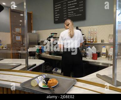 Barista preparing coffee in cafe setting Stock Photo
