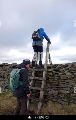 Two Men Climbing Wooden Ladder Stile on Pen-y-ghent (One of the Yorkshire 3 Peaks) to 'Plover Hill' in Ribblesdale, Yorkshire Dales National Park. Stock Photo