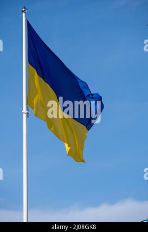 Flag Of Finland And European Flag Stand In The European Council Offices 