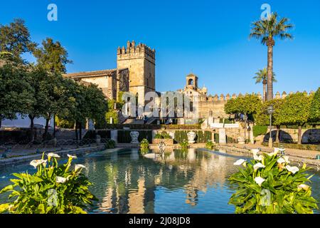 Andalusien, Spanien  |   Andalusia, Spain Stock Photo