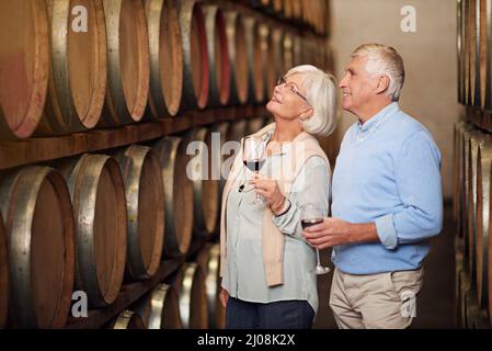 Theyve got a cellar full of wine. Cropped shot of an affectionate senior couple wine tasting in a cellar. Stock Photo