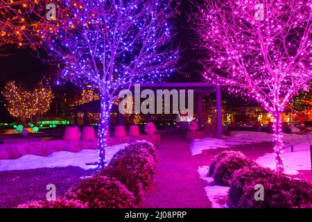 Denver gardens holiday lights hi-res stock photography and images - Alamy