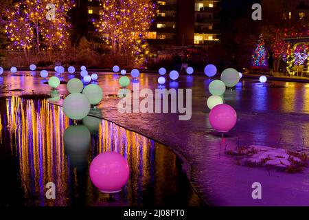 Lights in Pond - Wide-angle night view of colorful lights bright up a frozen pond in Denver Botanic Gardens during its holiday Blossoms of Light event. Stock Photo
