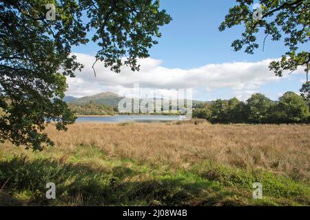 Wansfell Pike lying above Ambleside viewed from Blelham Tarn near the West shore of Windermere the Lake District Cumbria England Stock Photo