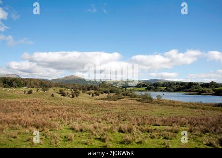 Wansfell Pike lying above Ambleside viewed from Blelham Tarn near the West shore of Windermere the Lake District Cumbria England Stock Photo