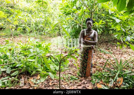 Female farmer carries her baby along while working on her farm, Côte d'Ivoire Stock Photo
