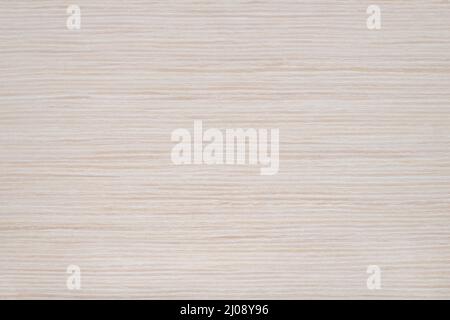 Bleached Oak 2 wood panel texture pattern Stock Photo