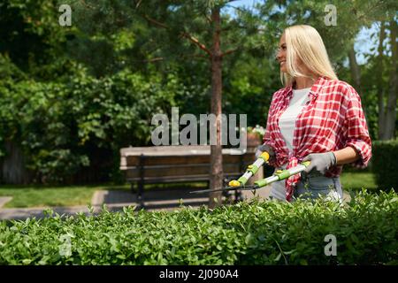 Charming young lady with blond hair using gardening scissors for pruning bushes at garden. Happy woman enjoying work with green plants. Landscaping process. Stock Photo