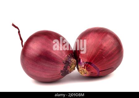 two whole red onion bulbs close-up isolated on white background Stock Photo