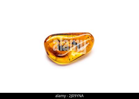 amber with preserved prehistoric insect, mosquito with blood or DNA preserved in amber Stock Photo