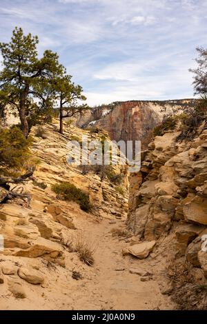 Sandy Trail Going Down To Scouts Lookout In Zion National Park Stock Photo