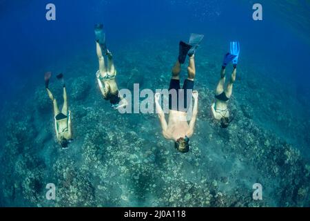 A group (MR) free diving down to a Hawaiian reef. Stock Photo