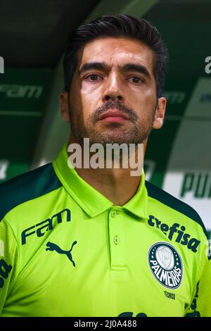 Brazil. 17th Mar, 2022. SP - Sao Paulo - 03/17/2022 - PAULISTA 2022,  PALMEIRAS X CORINTHIANS - Palmeiras player Dudu during a match against  Corinthians at the Arena Allianz Parque stadium for