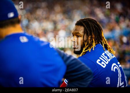 Toronto Blue Jays first baseman Valdimir Guerrero Jr. waits in the dugout during a game against the Detroit Tigers at Rogers Centre. Stock Photo