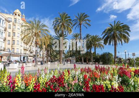 Alicante Alacant town city palms boulevard Esplanada d'Espanya travel traveling holidays vacation in Spain Stock Photo
