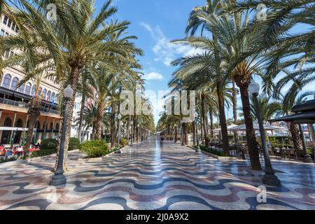 Alicante Alacant town city boulevard Esplanada d'Espanya with palms palm travel traveling holidays vacation in Spain Stock Photo