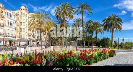 Alicante Alacant town city palms boulevard Esplanada d'Espanya travel traveling holidays vacation panorama in Spain Stock Photo