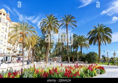 Alicante Alacant town city palms boulevard Esplanada d'Espanya travel traveling holidays vacation in Spain Stock Photo