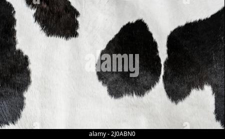 Texture or pattern pf cowhide Stock Photo