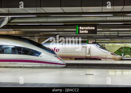 Barcelona, Spain - February 19, 2022: AVE high-speed trains operated by RENFE rail at Barcelona Sants railway station in Barcelona, Spain. Stock Photo