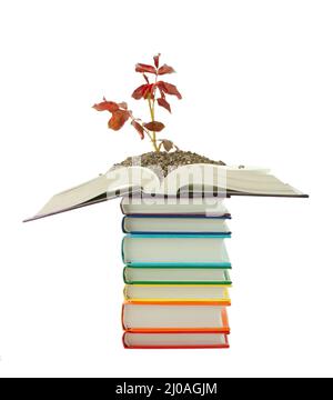 Knowledge concept with books and seedlings Stock Photo - Alamy