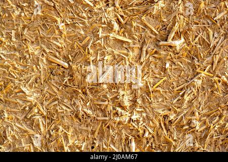 Texture of clay and husk wall of house in the Thar desert Stock Photo